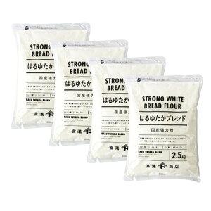 ͕ ͂䂽uhi]ʐj / 2.5kg×4Zbgy xVX  z