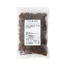 【11月おすすめ品】サンマスカットレーズン / 500g【 富澤商店 公式 】