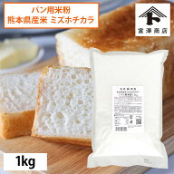 【107円クーポンあり】熊本県産米（ミズホチカラ）パン用米粉 / 1kg【 富澤商店 公式 】
