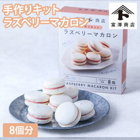 手作りキット ラズベリーマカロン / 1セット【 富澤商店 公式 】