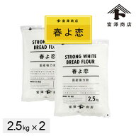 強力粉 春よ恋 100% / 2.5kg×2個セット ( 5kg ) 【 富澤商店 公式 】