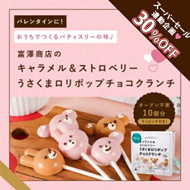 ☆手作りキット うさくまロリポップチョコクランチ / 1セット ( 10本 ) ラッピング付き 【 富澤商店 公式 】