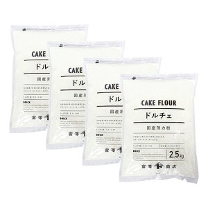 ͕ h`Fi]ʐj / 2.5kg×4Zbgy xVX  z