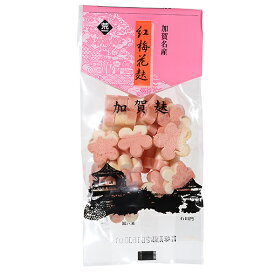 楽天市場 麩 かわいいの通販 楽天市場 麩 かわいいの通販