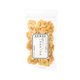 富澤のスナック バナナチップス / 120g【 富澤商店 公式 】