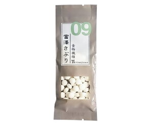 �y107�~�N�[�|������z�x�V���Ղ� �H���@�� / 20g�i��67���j�y �x�V���X ���� �z