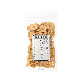 富澤のスナック 塩バナナチップス / 110g【 富澤商店 公式 】