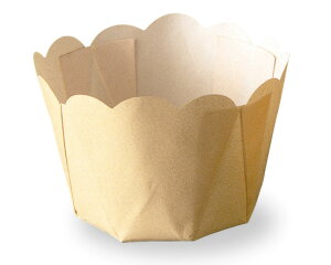 Ղ[񂩂 n / 10y xVX  z