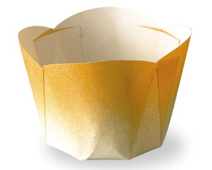 Ղ[񂩂 Of[V / 100y  zy xVX  z