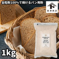 微粒全粒粉 （全粒粉100％で焼けるパン用粉） / 1kg【 富澤商店 公式 】