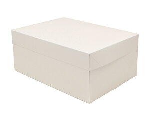 CP 105 �z���C�g 6×8 / 1���y ���� �z�y �x�V���X ���� �z