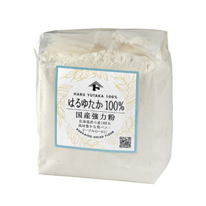 ͕ ͂䂽100 / 250gy xVX  z