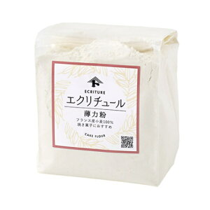 ������250g �������T�C�Y�V���[�Y�y �x�V���X ���� �z