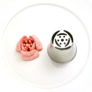 3Ďi`[bvEd^Bj / 1y xVX  z