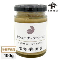砂糖不使用 カシューナッツペースト 100g（富澤のナッツペーストシリーズ）【 富澤商店 公式 】