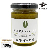 砂糖不使用 ピスタチオペースト 100g （富澤のナッツペーストシリーズ） 【 富澤商店 公式 】