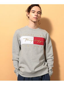 トミー ヒルフィガー Tommy Hilfiger メンズパーカー トレーナー 通販 人気ランキング 価格 Com