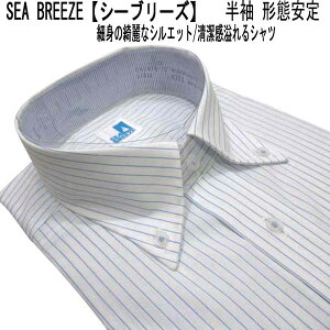 �� SEA BREEZE�y�V�[�u���[�Y�z�`�Ԉ��� �{�^���_�E�� �����h���X�V���c/�������C�V���c ��/�u���[�X�g���C�v�� �yM�z�yL�z�yLL�z