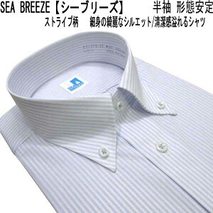 �� SEA BREEZE�y�V�[�u���[�Y�z�`�Ԉ��� �{�^���_�E�� �����h���X�V���c/�������C�V���c ���C�g�u���[/�X�g���C�v�� �yM�z�yL�z�yLL�z