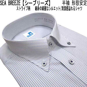 �� SEA BREEZE�y�V�[�u���[�Y�z�`�Ԉ��� �{�^���_�E�� �����h���X�V���c/�������C�V���c ��/�׃u���[�X�g���C�v���yM�z�yL�z�yLL�z