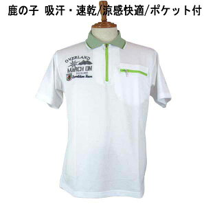 �� HIFUMI �q�t�~ ���� �W�b�v�|���V���c/�j�b�g�V���c ��/���̎q�f�� �����b�y��/�O���t�H���h�J ���yM�z�yL�z�yLL�z