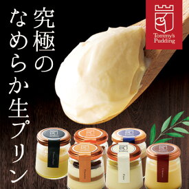 お中元 御中元 2025 ギフト 【送料無料】トミーズプリン 6種のフレーバーセット 【ZIP 王様のブランチ メディア掲載多数】有名店 6個入 スイーツ プレゼント 誕生日 お祝い 詰め合わせ 贈答 濃厚 なめらか 美味しい TV紹介 お取り寄せ 手作り 極上 高級 人気