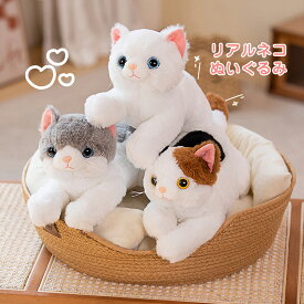 猫のぬいぐるみ ひざねこ リアルな猫の抱き枕 ねこ ネコ 子供 かわいい 本物そっくり 本物みたいな いやし猫 猫グッズ キャット 母の日 父の日 敬老の日 プレゼント ギフト 贈り物 可愛い 癒し猫 お見舞い 子供 大人 クリスマス 誕生日