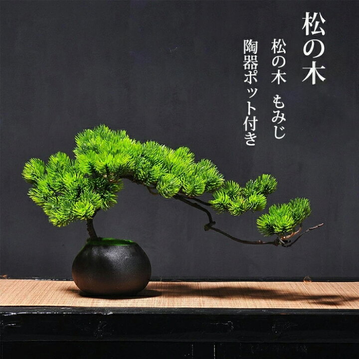 楽天市場】人工樹木 盆栽 松 人工 松の木 もみじ 人工紅葉 カエデ 現代 