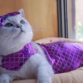 猫服 マーメイド ペット 猫 コスプレ ペット服 人魚 ペット衣装 ペットコスチューム ペット着ぐるみ ペットウエア キャットウェア コスプレ 衣装 猫コスプレ 人魚姫 変装 可愛い きらきら ハロウィーン ハロウィン ペット用品