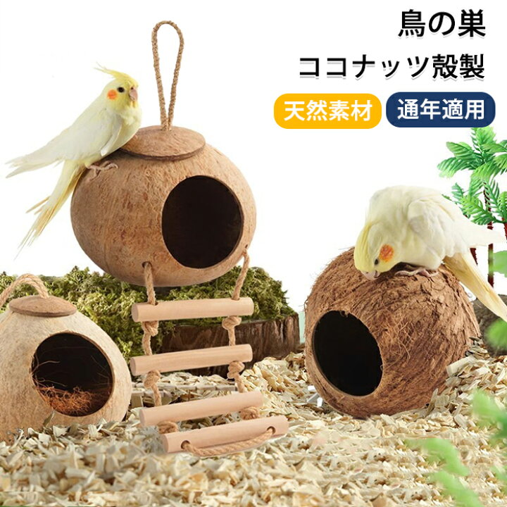 楽天市場】鳥の巣箱 ココナッツ殻製 鳥 ハウス 隠れ家 鳥の巣 バード 