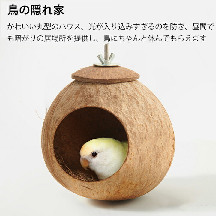 楽天市場】鳥の巣箱 ココナッツ殻製 鳥 ハウス 隠れ家 鳥の巣 バード 