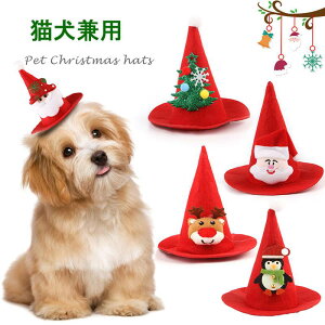 T^Xq p wAoh  Lp ybgp RXv ^ ^ || T^Xq Lbv ~jnbg wbhoh T^N[X ڂ Ԃ G ϑ