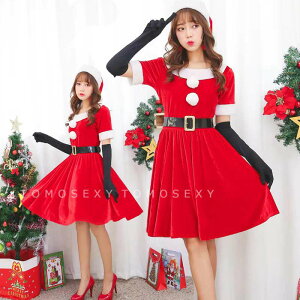 T^ RXv T^N[X T^ ߑ O[u fB[X lp  T^RX XqZbg 킢 NX}X nEB RXv ߑ  T^RX`[ 