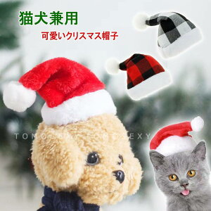 T^Xq p wAoh  Lp ybgp RXv ^ ^ ||T^Xq Lbv ~jnbg wbhoh T^N[X ڂ Ԃ G ϑ