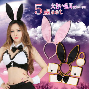 \J`[V 5_Zbg nEBRXv   JtX  J`[V  ETM 傫 oj[K[  G  RXvߑ wAoh ANZT[ 