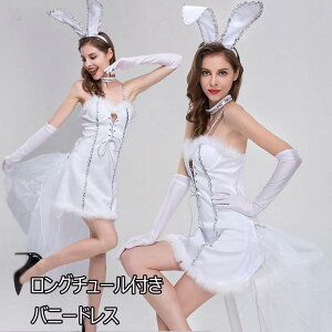 oj[K[ RXvߑ O`[t F ZNV[oj[hX m[X[u ZNV[RX`[ oj[K[ fB[X s[X oj[ߑ oj[RXv pjG 