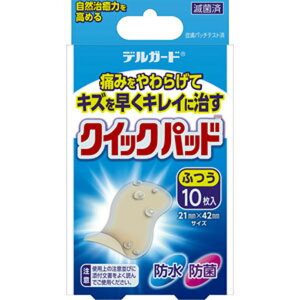 デルガード クイックパッド ふつうサイズ 10枚 【管理医療機器】