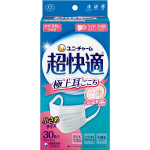 K}XNɏ㎨ zCg 30i10×3܁j