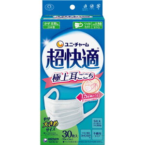 K}XNɏ㎨傫 zCg 30i10×3܁j