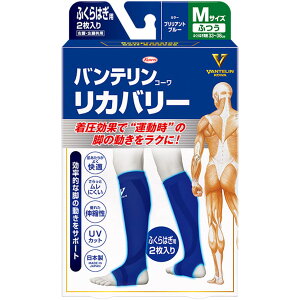 oeR[Jo[ ӂ͂p ӂTCY uAgu[ 2