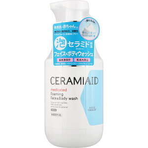Z~GCh p tFCX{fBEHbV 480mL