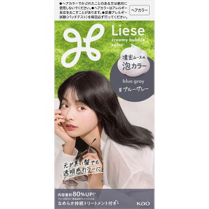 [[ AJ[ u[O[ 1