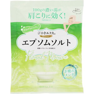 GXeC XyVe Gv\\g t[} 100gi1񕪁j