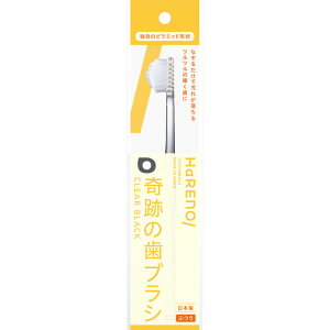 HaREnO^Ղ̎uV CLEAR BLACK 1{