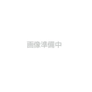 J[u~[@A2^Cvی^ˋiʋj@XeX@600mmӁ@UNIT jbg@869-20A