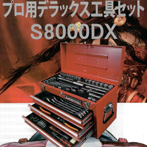 S8000DX@yz@X[p[c[@vpfbNXHZbg@S8000DX