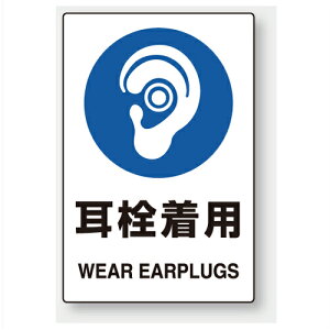 803-45B@یW@𒅗p@PVCXebJ[@150×100mm@51g