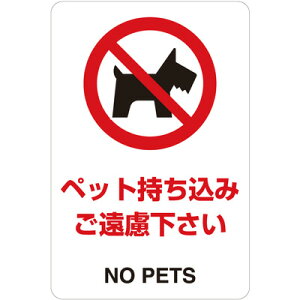 807-74A@֎~W@ybg݂@XebJ[@150×100mm