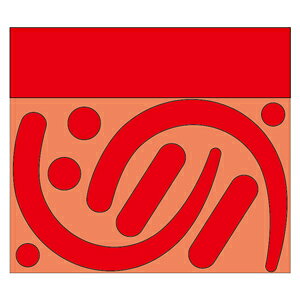 335-31R@SуtbNXebJ[@(u)@uXebJ[@10@105×120mm@jbg@UINT