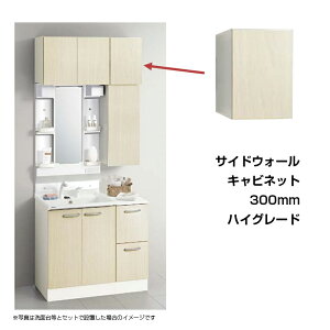 y[J[z Nibv W300 TChEH[Lrlbg GASA30 nCO[h i`Ebh(C4V) _[NEbh(E4Z) X[XzCg(EQT)